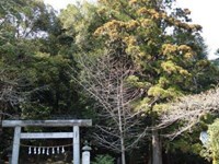 埼玉県ときがわ町の心霊スポット「春日神社」
