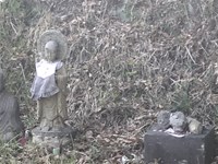 宮崎県延岡市の心霊スポット「愛宕山」