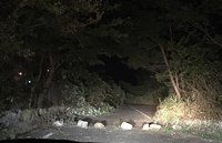 兵庫県小野市の心霊スポット「小野の首切り大仏」