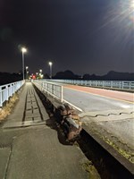 埼玉県寄居町の心霊スポット「玉淀大橋」