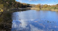 栃木県宇都宮市の心霊スポット「鶴田沼(ひょうたん沼)」