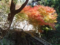 神奈川県鎌倉市の心霊スポット「護良親王墓」