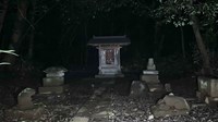 埼玉県さいたま市の心霊スポット「七里殺人の森」
