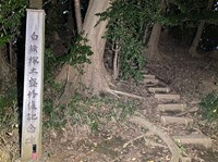 埼玉県所沢市の心霊スポット「白旗塚」