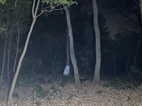 埼玉県上尾市の心霊スポット「ふるさとの緑の景観地」
