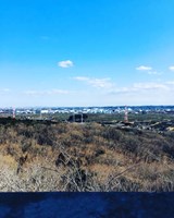 埼玉県入間市の心霊スポット「桜山展望台 」
