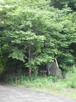 埼玉県さいたま市の心霊スポット「中村精神病院跡地」