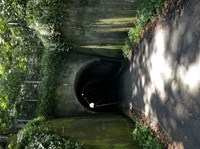 神奈川県横須賀市の心霊スポット「千駄トンネル」