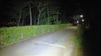 東京都西東京市の心霊スポット「碧山森」