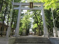 東京都杉並区の心霊スポット「荻窪八幡神社」