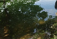 山梨県甲府市の心霊スポット「千代田湖」