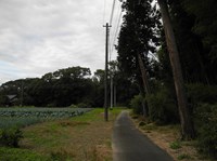 埼玉県吉川市の心霊スポット「猫山」