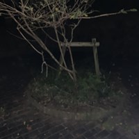 【東京都】尾根緑道
