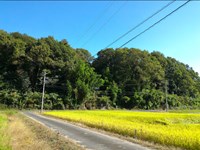 岐阜県御嵩町の心霊スポット「銃殺の家」