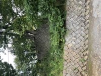 東京都世田谷区の心霊スポット「世田谷城跡&世田谷城公園」