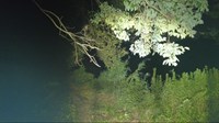 埼玉県日高市の心霊スポット「仙女ヶ池」