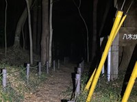 千葉県船橋市の心霊スポット「八木が谷市民の森」