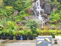 大分県日田市の心霊スポット「鯛生金山」