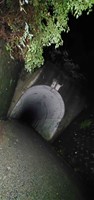大阪府河内長野市の心霊スポット「梨の木隧道」