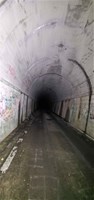 大阪府河内長野市の心霊スポット「梨の木隧道」