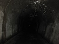 鳥取県八頭町の心霊スポット「本谷隧道」