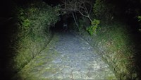 静岡県島田市の心霊スポット「旧東海道　金谷坂」