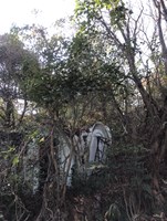 岡山県岡山市の心霊スポット「西大寺一宮の廃別荘」