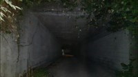 新潟県新潟市の心霊スポット「黒埼インター下のトンネル」