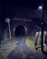 埼玉県羽生市の心霊スポット「本川俣のお化けトンネル」