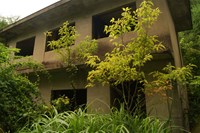 【兵庫県】朝日牧場