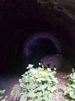 滋賀県彦根市の心霊スポット「旧佐和山トンネル」