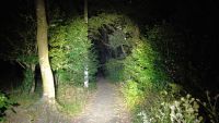 神奈川県横浜市の心霊スポット「ウィトリッヒの森」