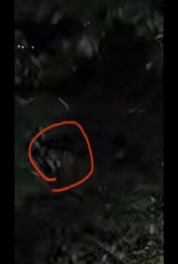 広島県福山市の心霊スポット「神辺城跡  」