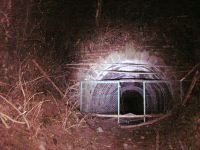 東京都青梅市の心霊スポット「旧旧吹上トンネル」