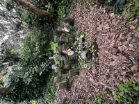 神奈川県横須賀市の心霊スポット「観音崎の無縁仏」