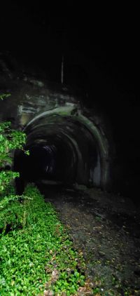 岐阜県八百津町の心霊スポット「朝鮮トンネル（二股トンネル）」