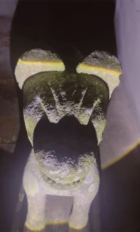 広島県福山市の心霊スポット「王子山城跡」