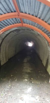静岡県藤枝市の心霊スポット「葉梨トンネル(宮ヶ澤トンネル)」
