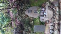 京都府京都市の心霊スポット「船岡山」