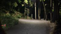 神奈川県相模原市の心霊スポット「せどむら坂」