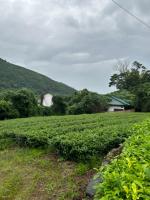 【佐賀県】ホテル・ヒルトン
