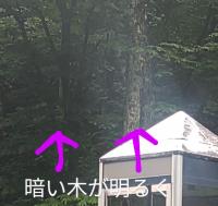 山形県最上町の心霊スポット「山刀伐トンネル」