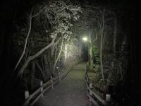 鹿児島県鹿児島市の心霊スポット「寺山公園展望台」