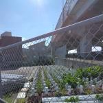 福岡県福岡市の心霊スポット「野多目大池近くの資材置き場」