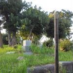 福岡県春日市の心霊スポット「下白水大塚古墳」