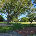 福岡県福岡市の心霊スポット「野多目中央公園」