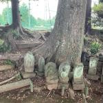 東京都日野市の心霊スポット「川辺堀之内城跡」