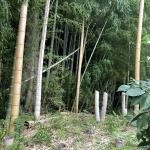 東京都日野市の心霊スポット「川辺堀之内城跡」