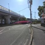 福岡県福岡市の心霊スポット「魔のカーブ(野多目)　」