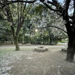 東京都三鷹市の心霊スポット「井の頭公園」